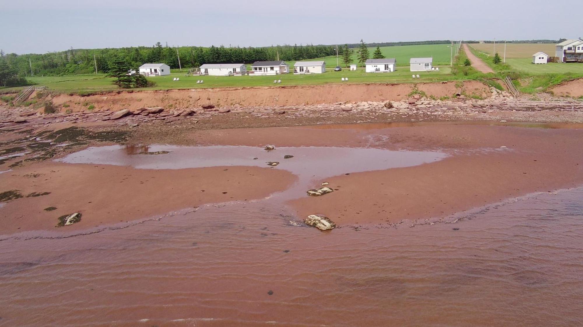 Bedeque Cottages On Pei-Oceanfront מראה חיצוני תמונה